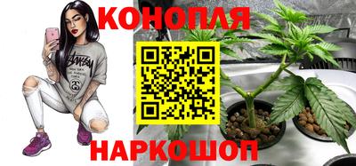эйфоретик Можга