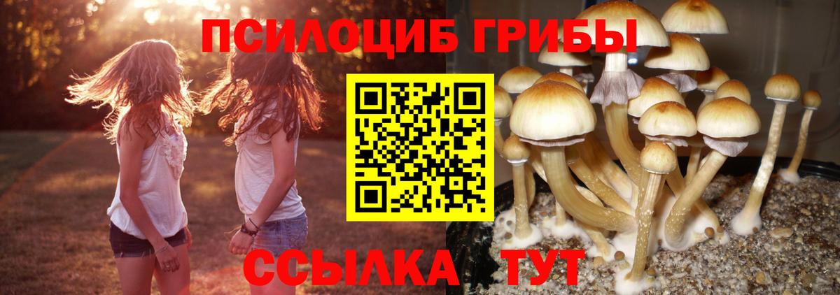 Галлюциногенные грибы Cubensis  Вход с VPN  Галлюциногенные грибы MAGIC MUSHROOMS  Великий Устюг 